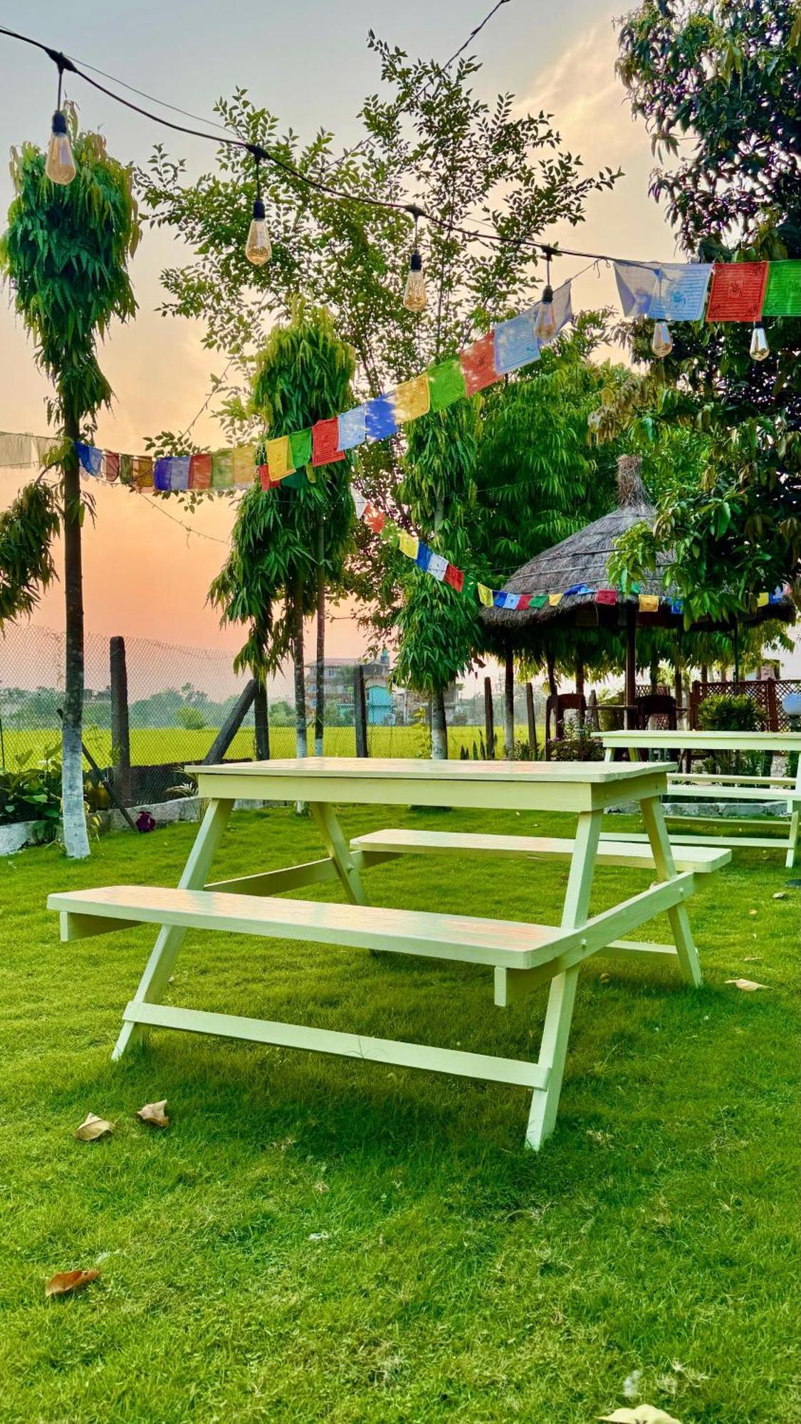 Hotel Tree Tops- A Serene Friendly Hotel In Sauraha 奇旺 外观 照片
